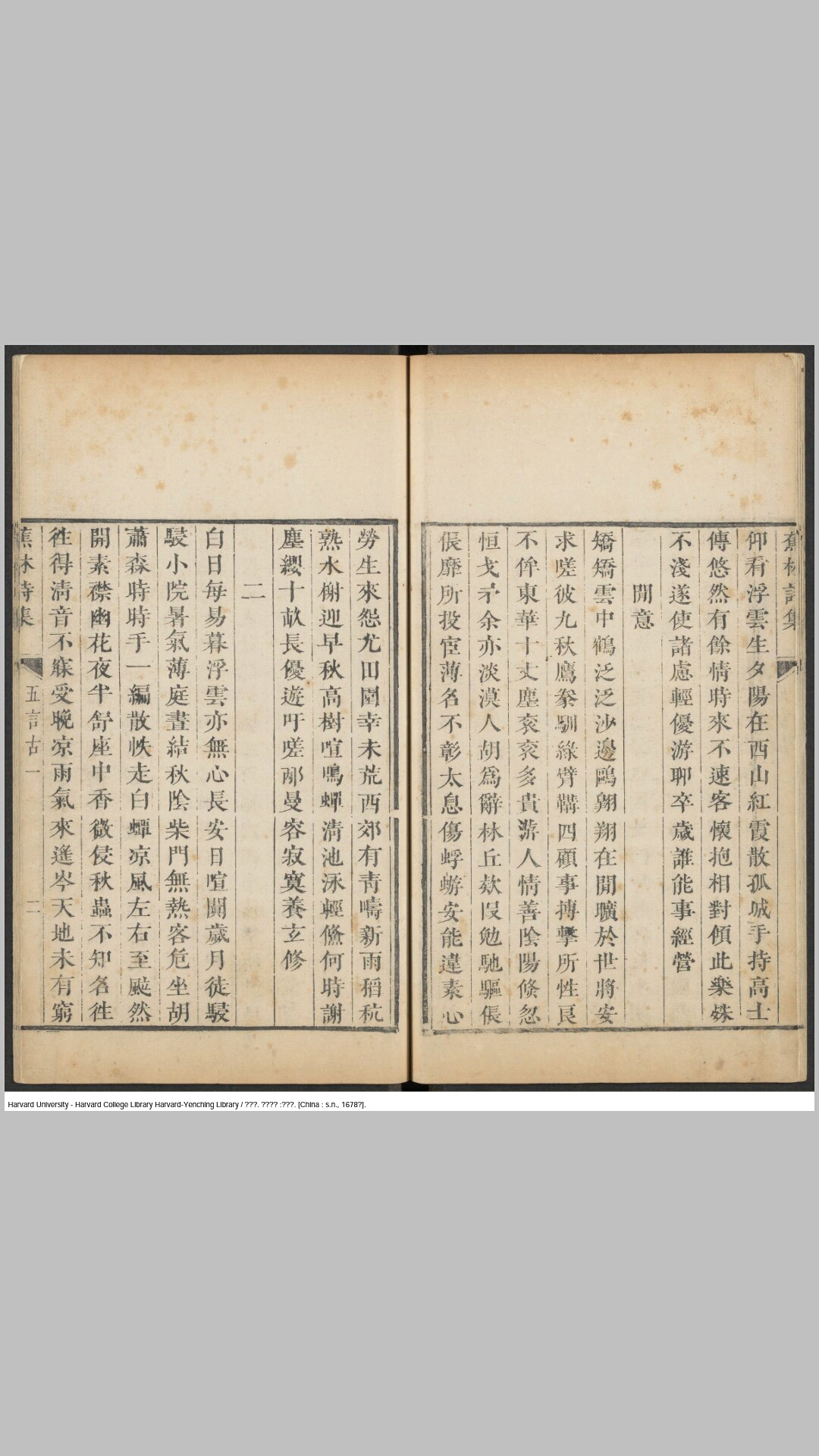 林诗