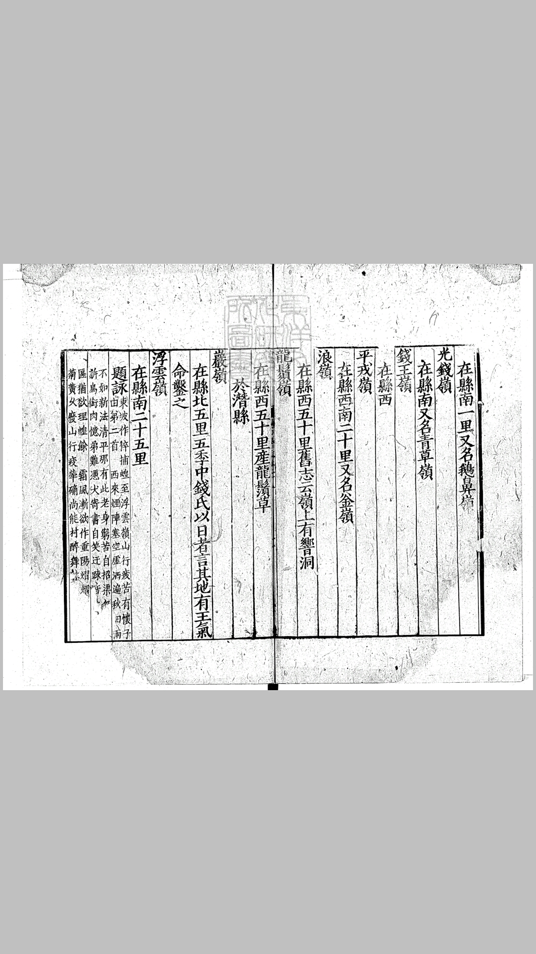 志