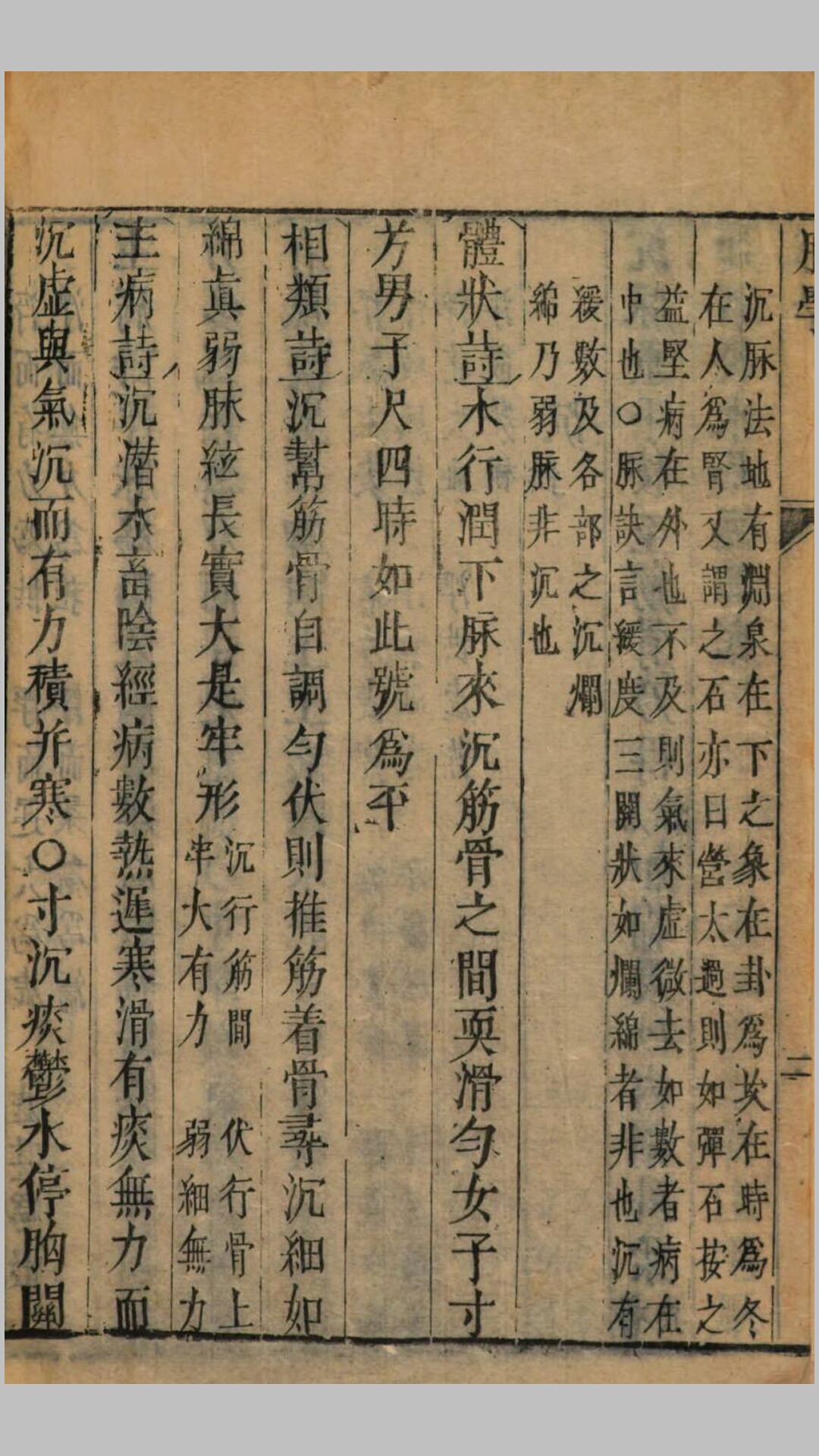 脉学