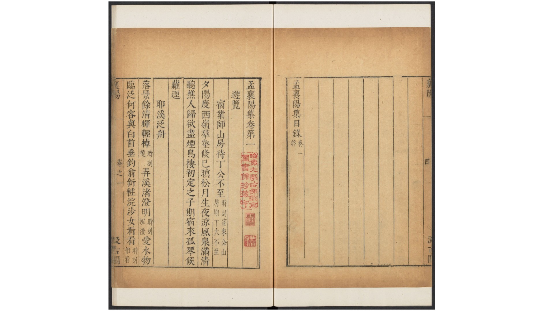 阳集体
