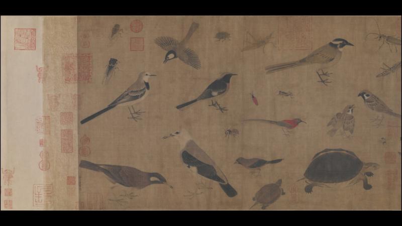 五代 后蜀 黄筌写生珍禽图(全卷)绢本49×84