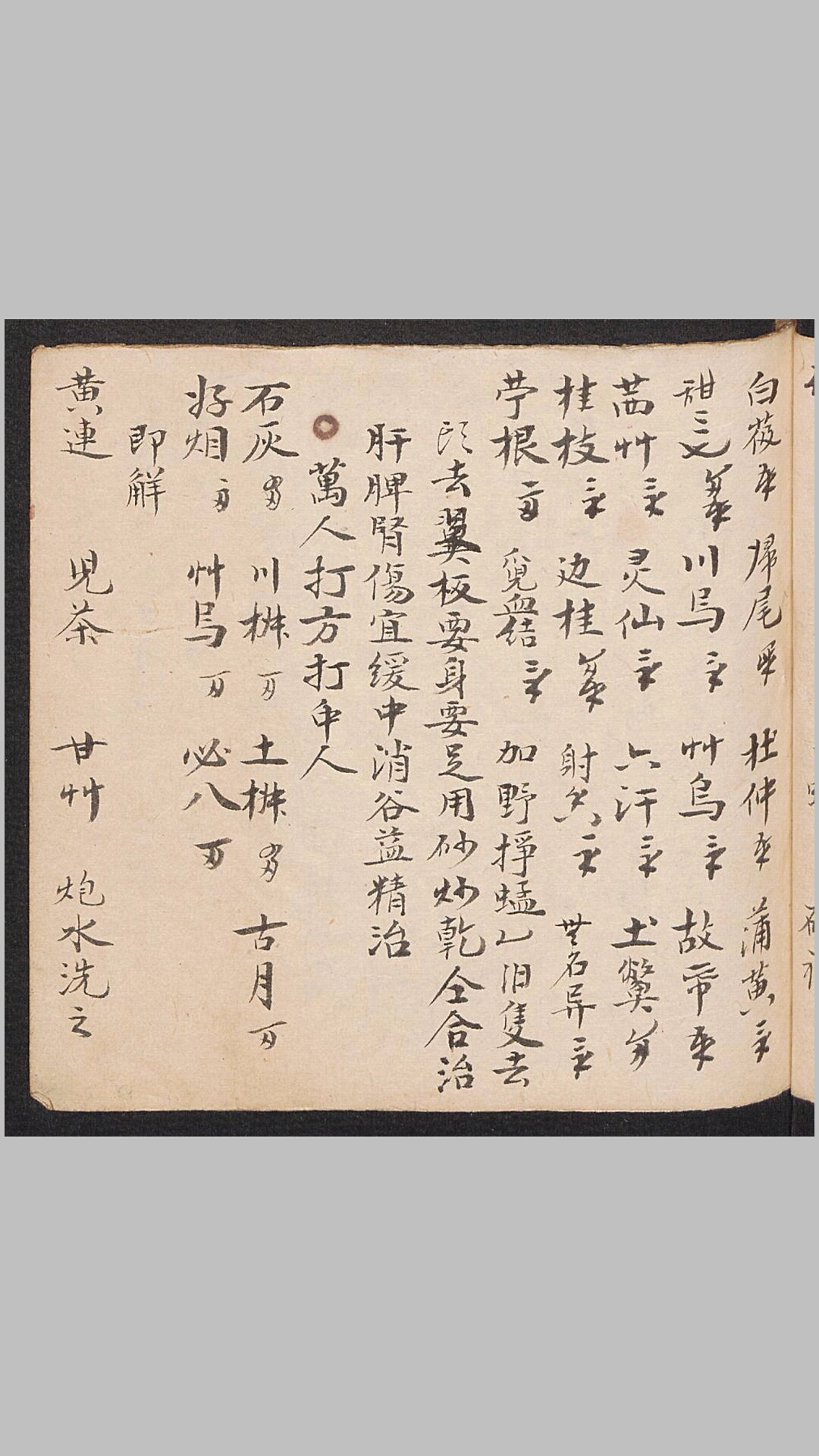 杂方