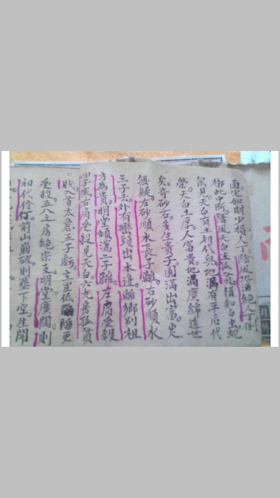 龍