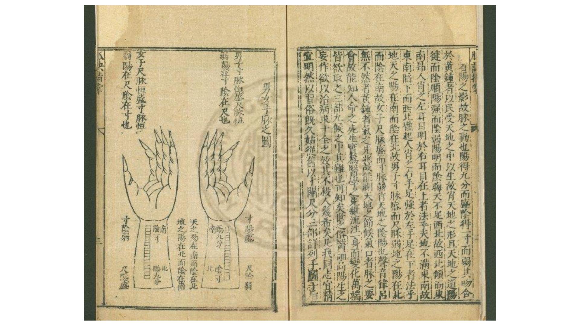 丹溪脉