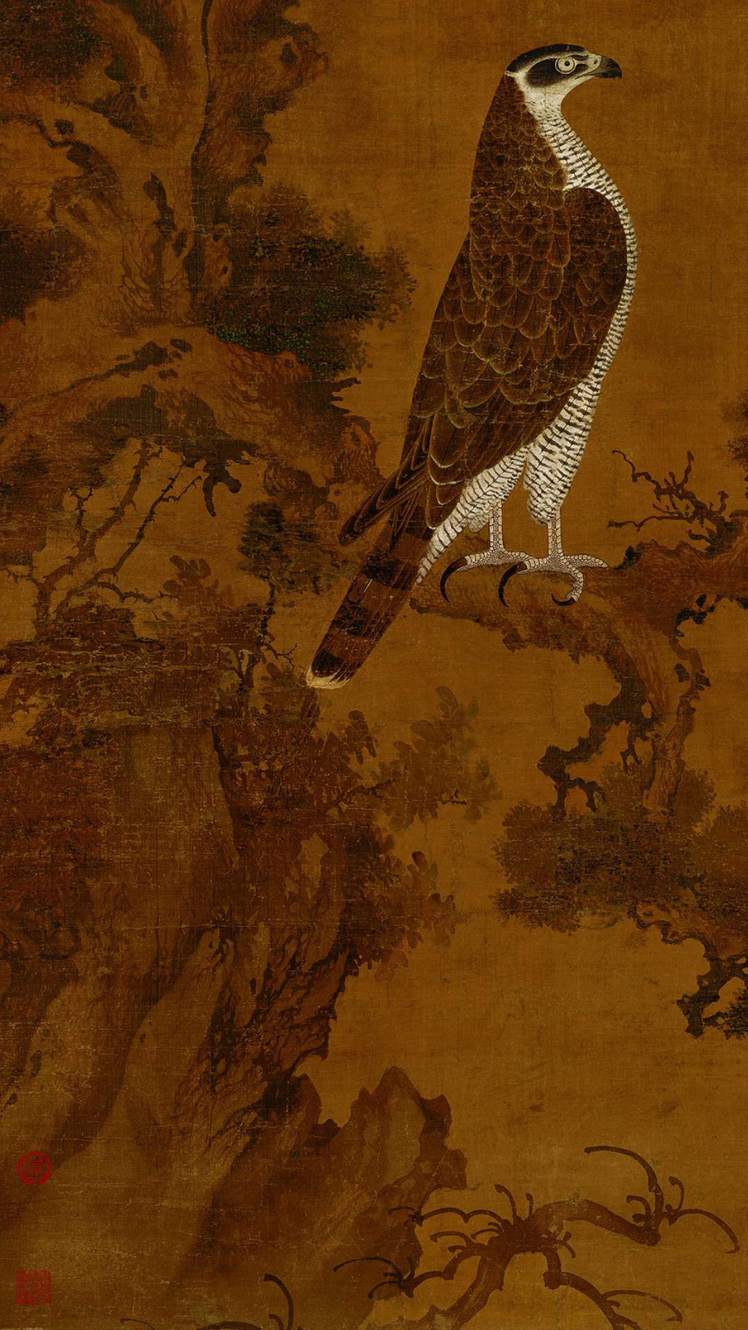 鹰