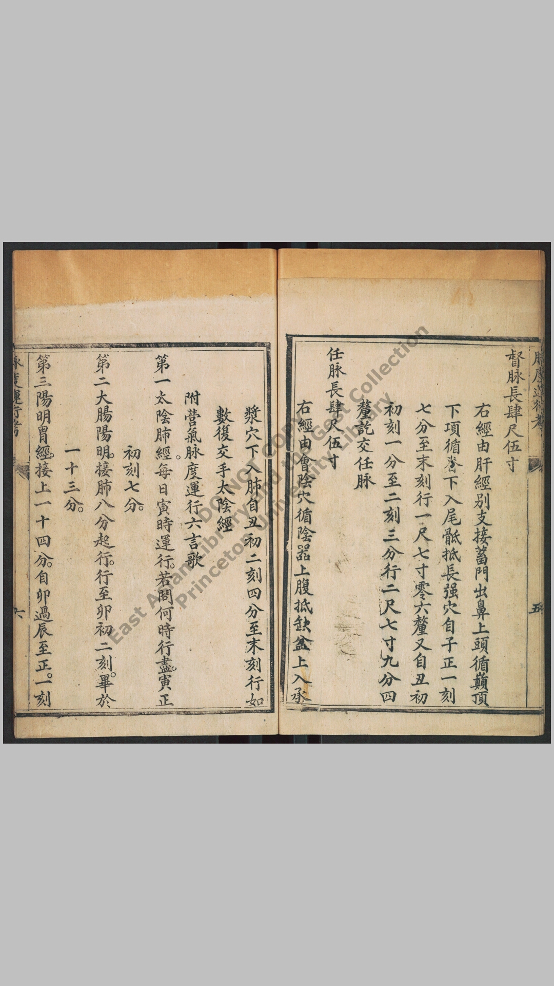 脉