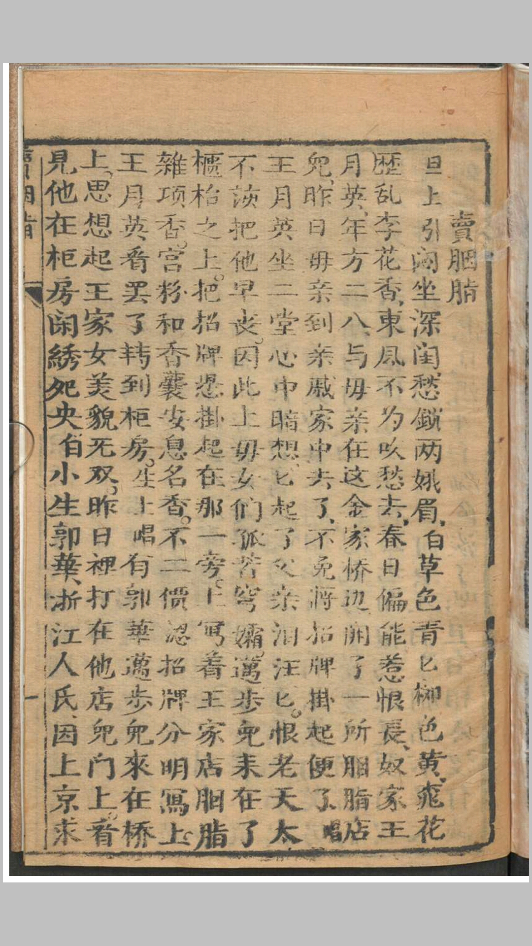 胭脂