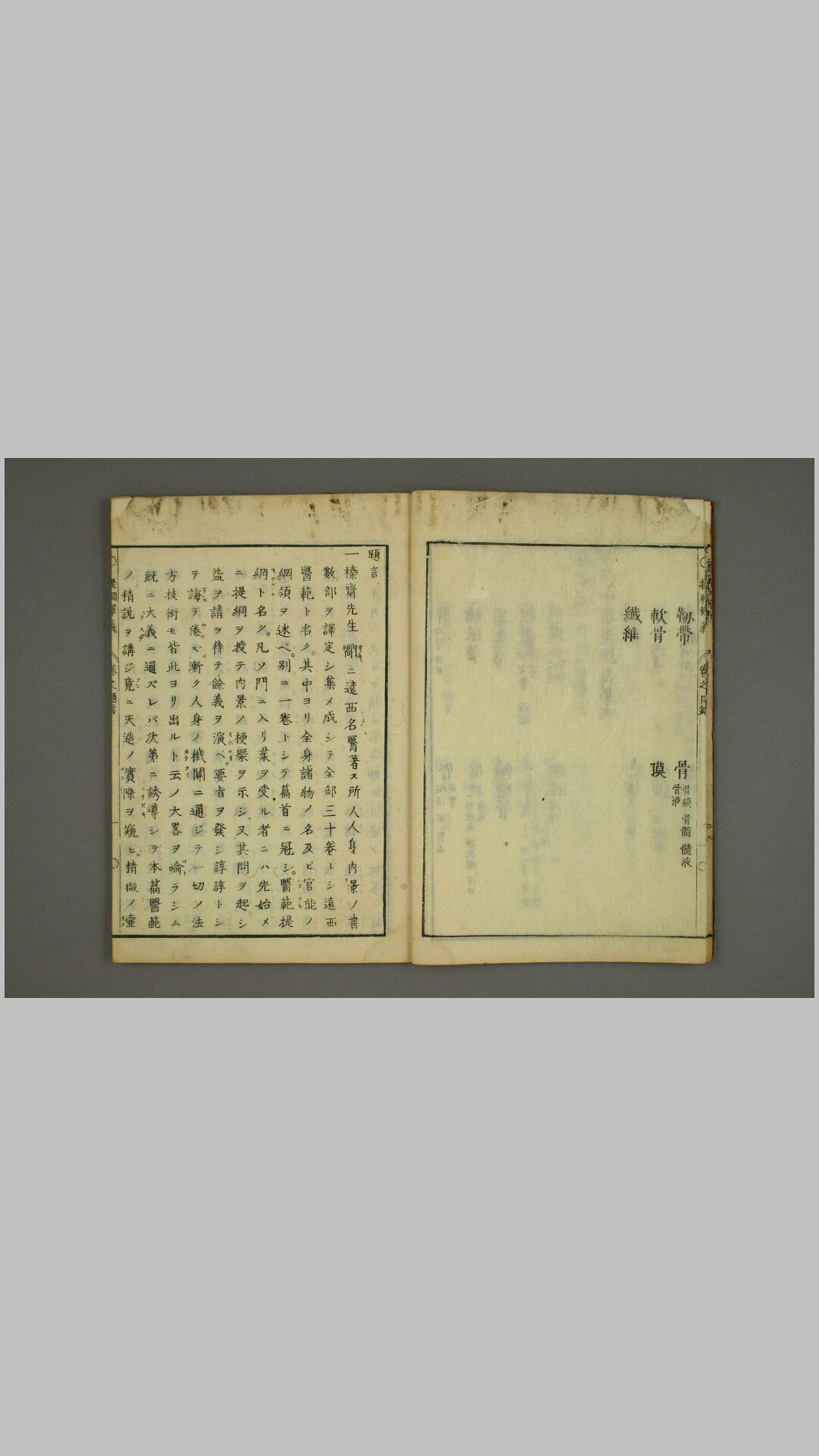 医