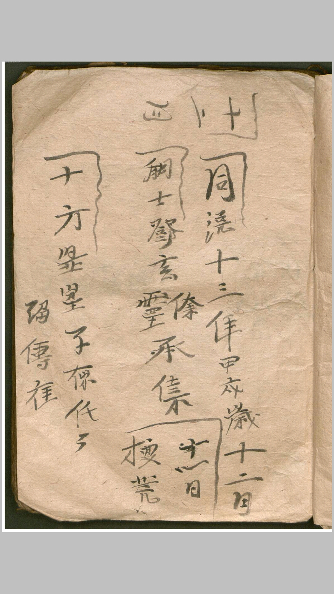 一本相（?） 科