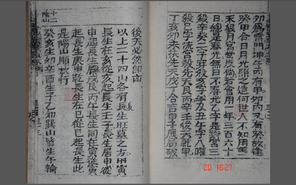 龙