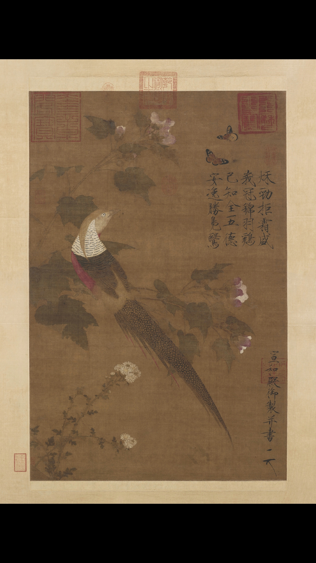 宋徽宗赵佶 芙蓉锦鸡图绢本81.5×53.6