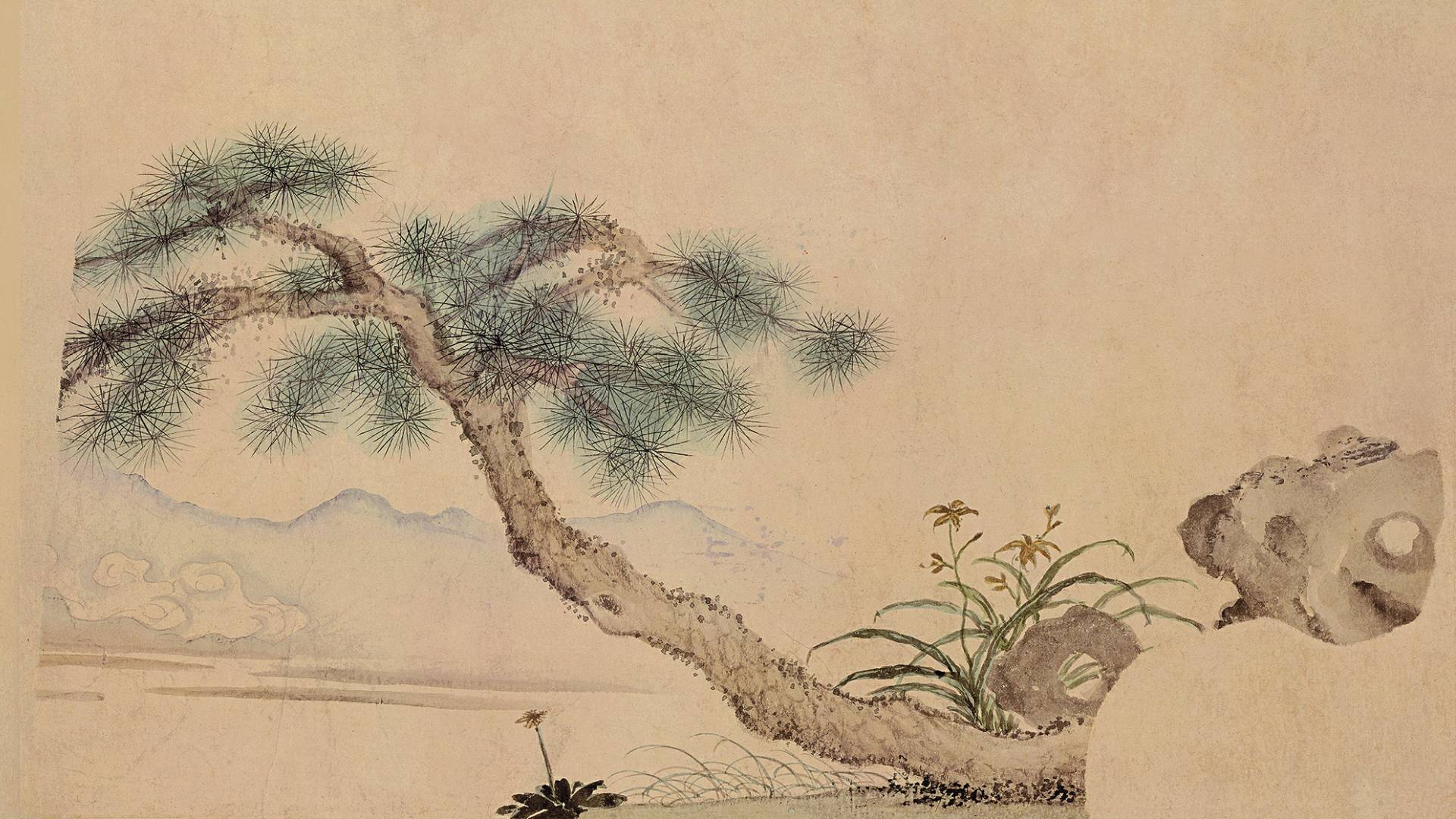 连谱