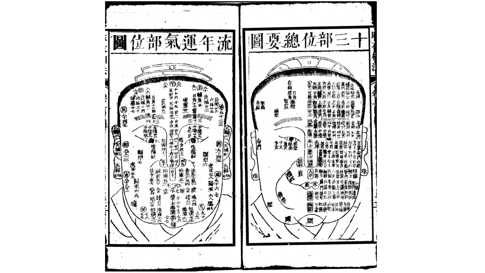 麻衣