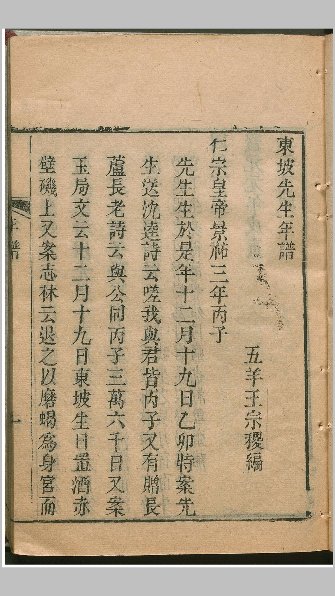 东坡