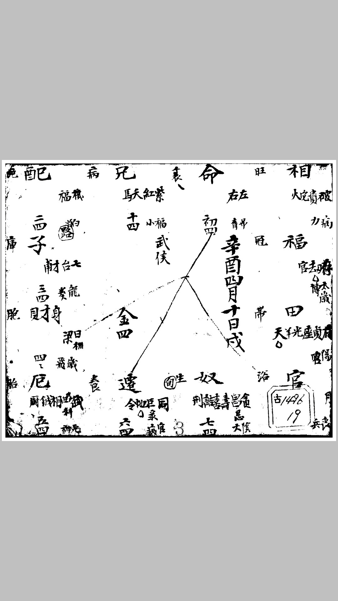 紫鑑
