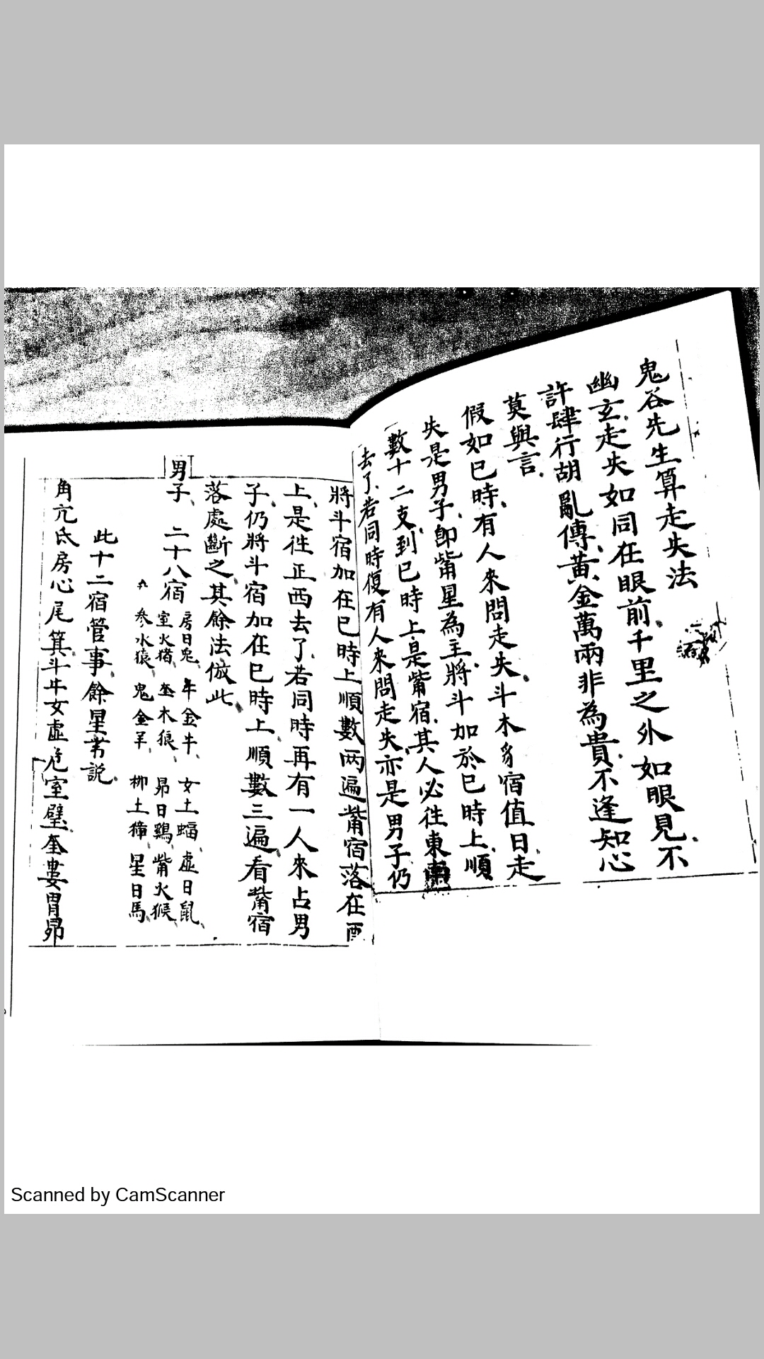 二十八