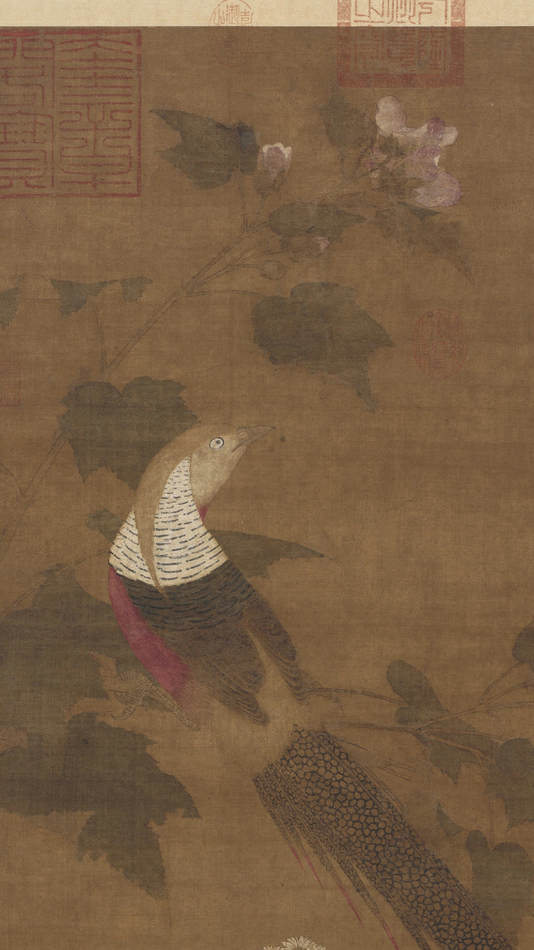 鸡