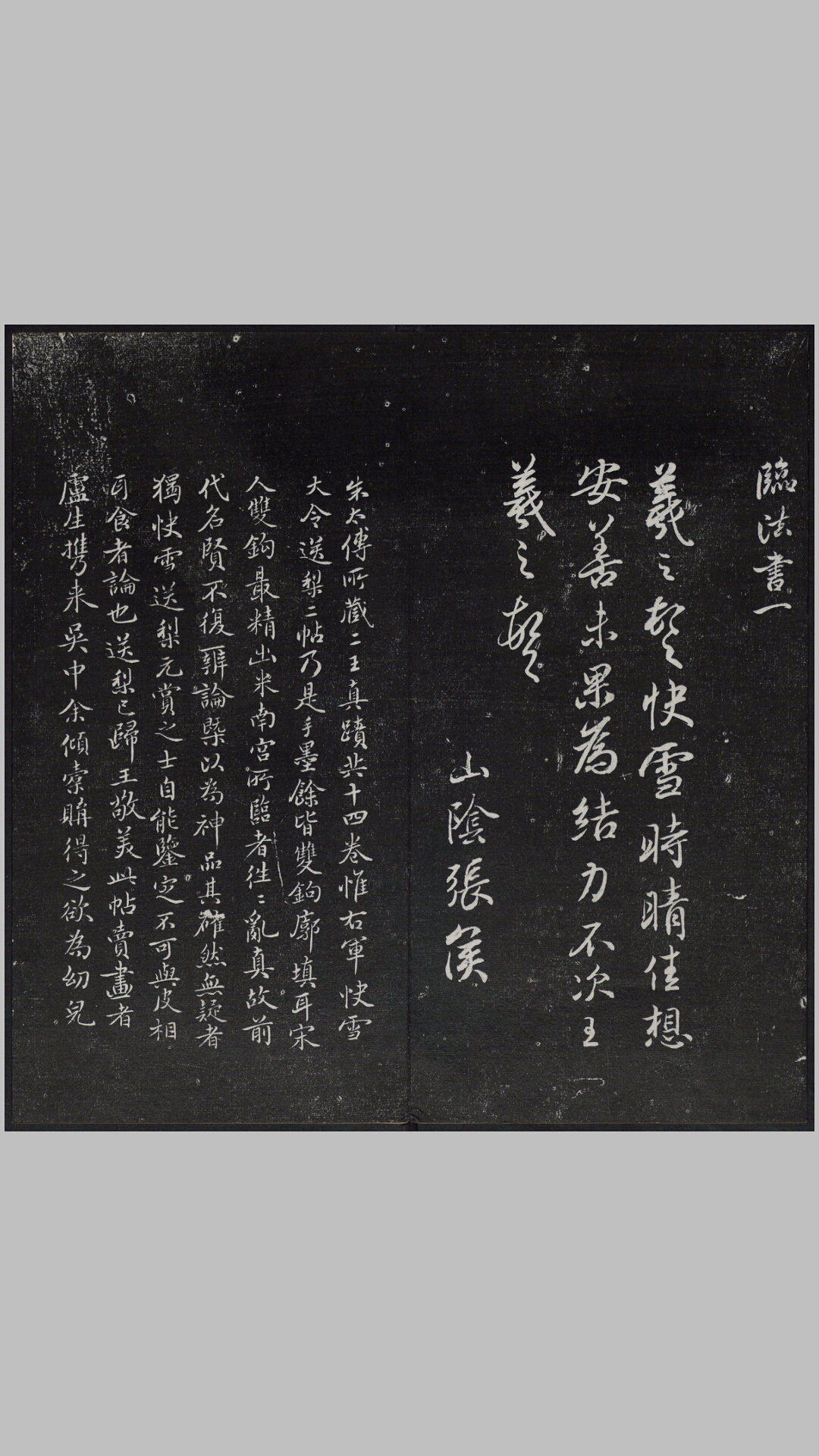 紫竹