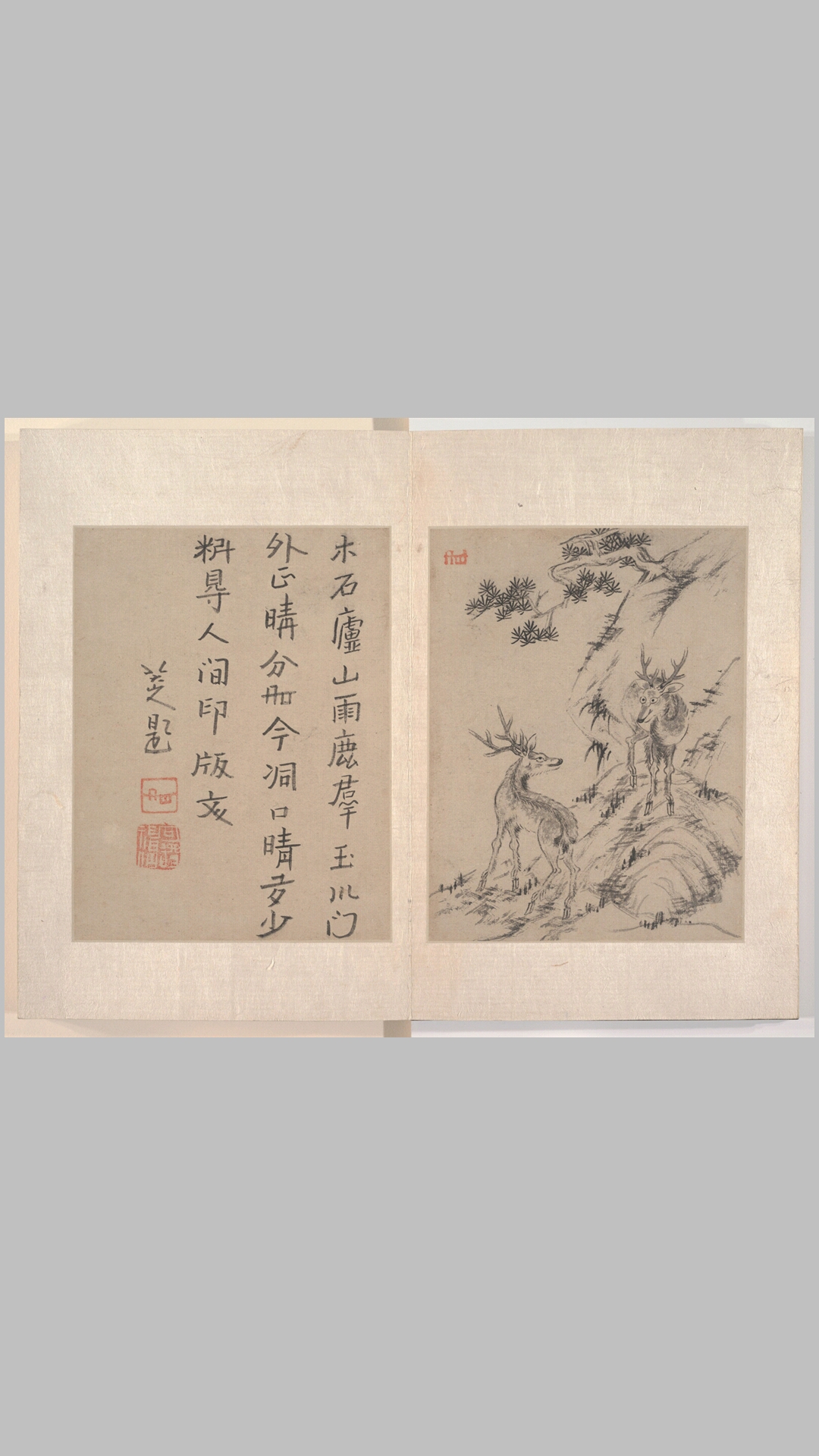 八大山人绘画册页.写意文人12帧.山水12帧.朱耷绘.清代