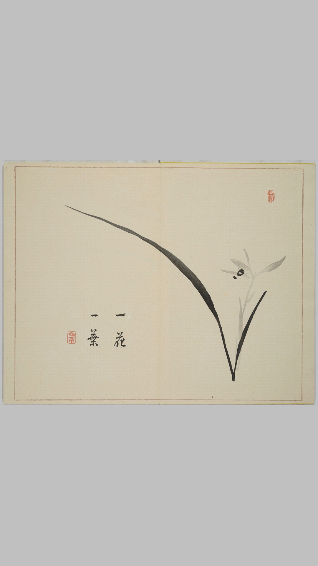 画