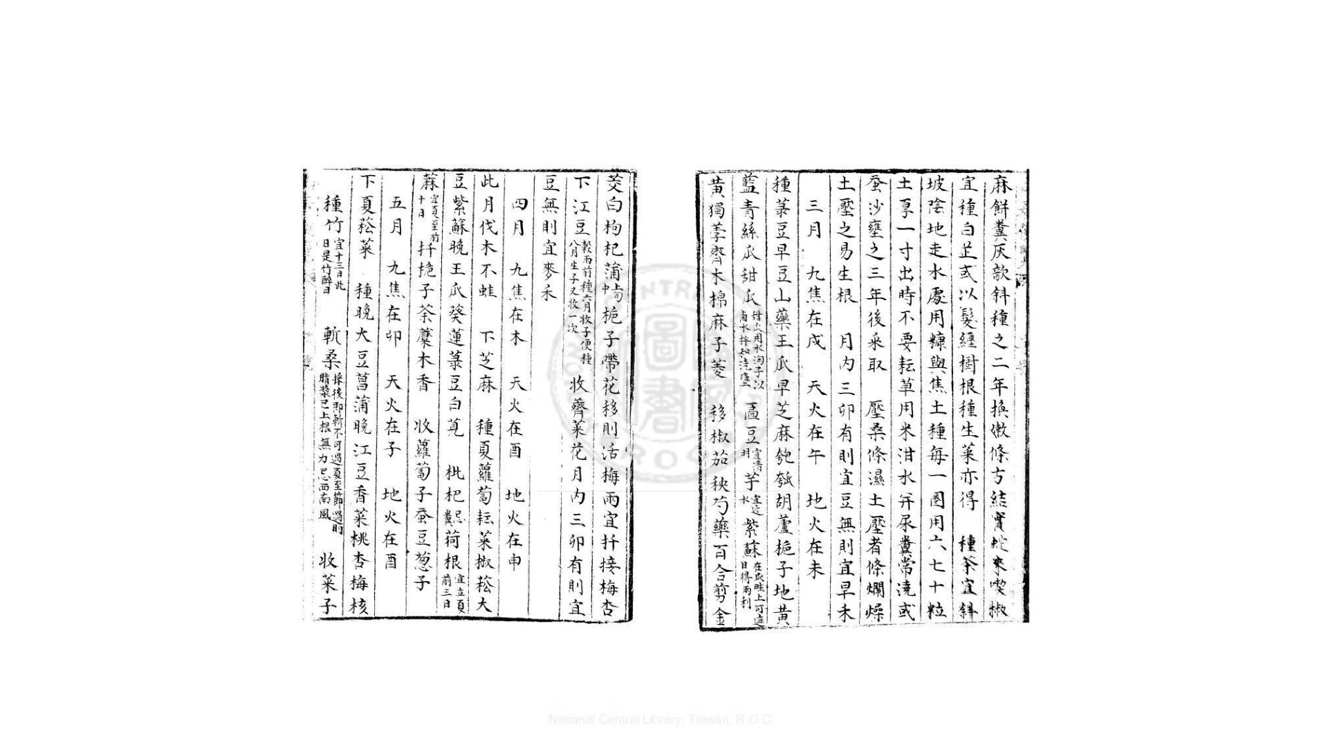 种树