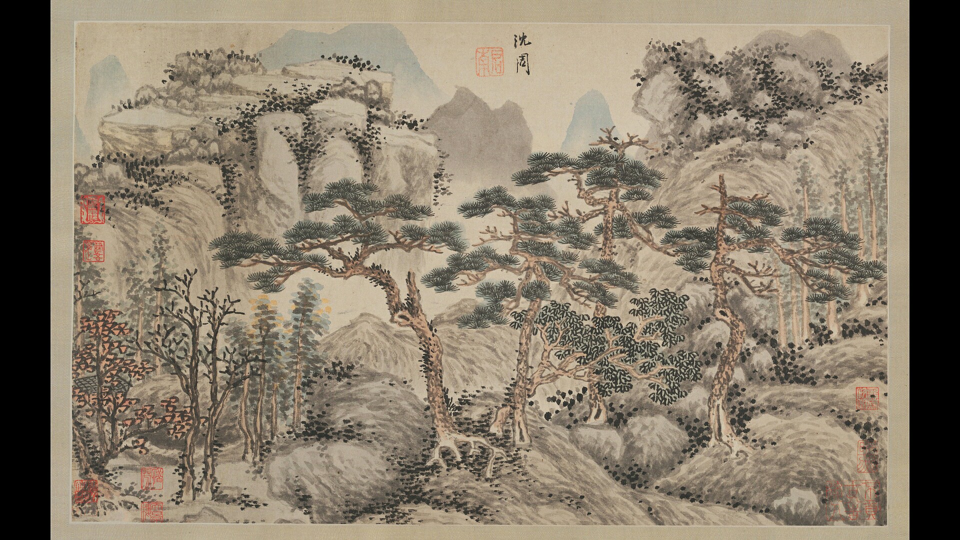明 沈周 四松图册页纸本154×60.3