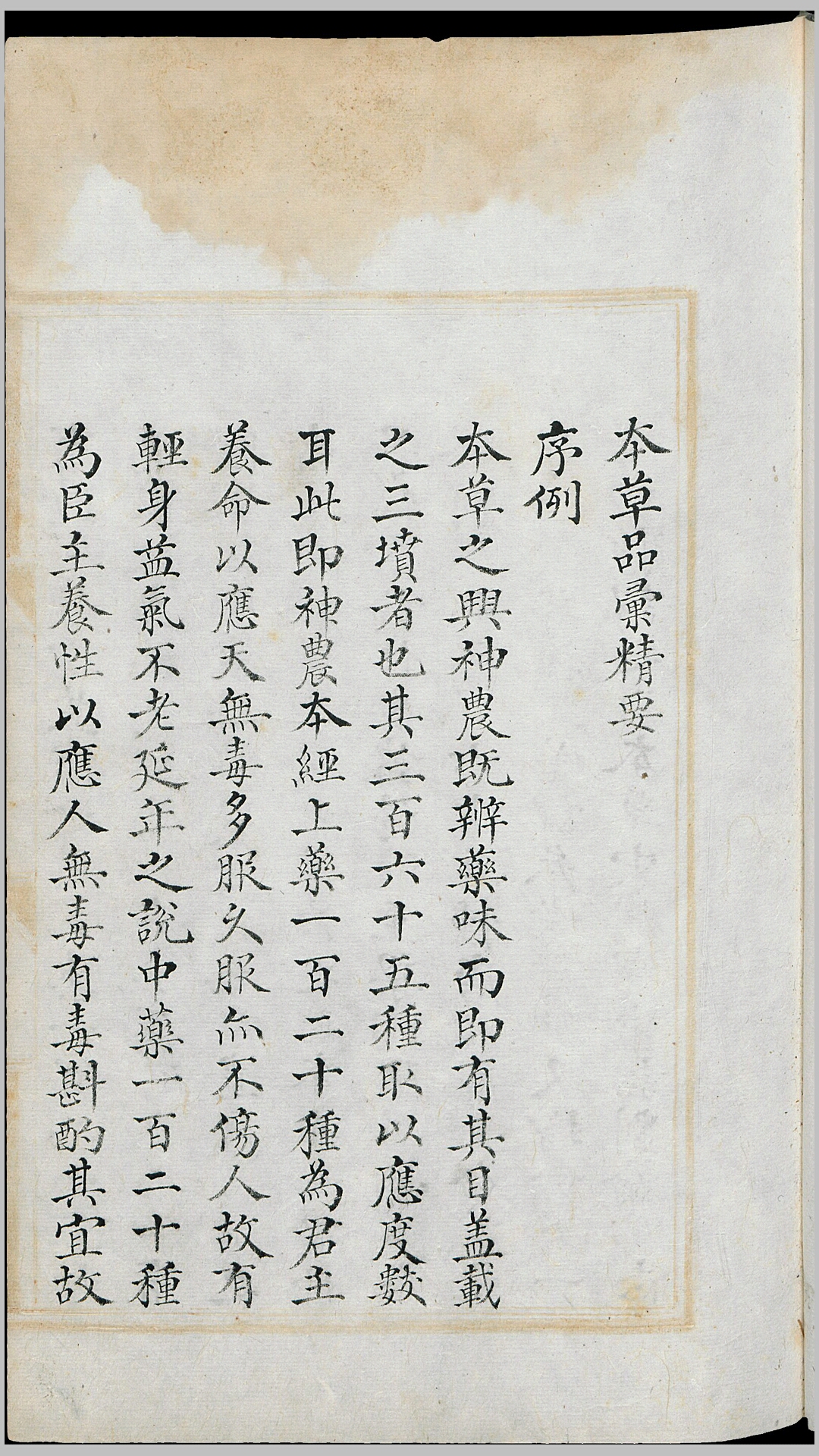 本草