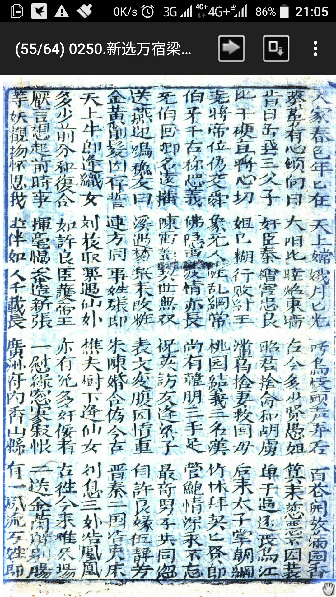 梁