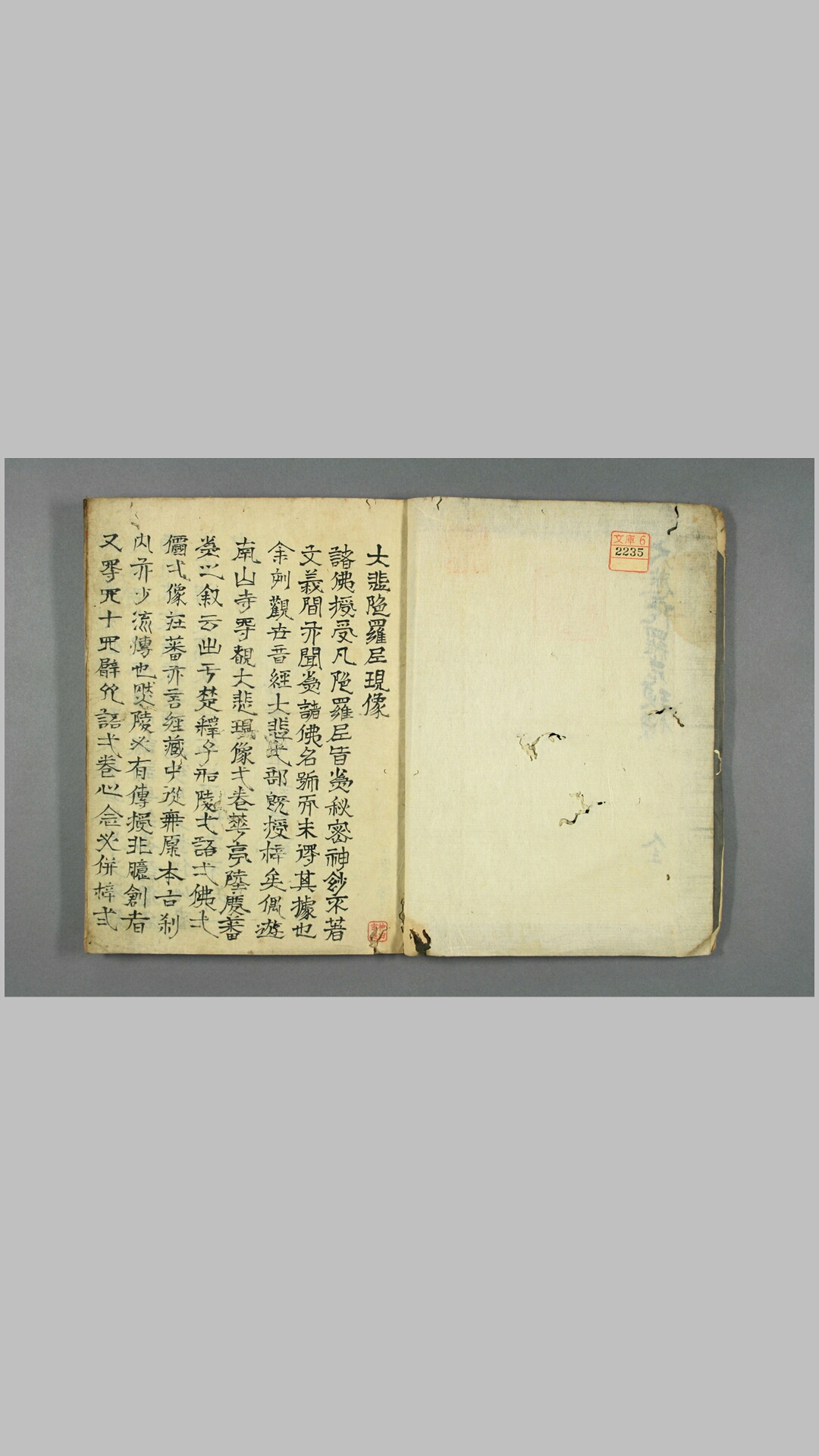 悲