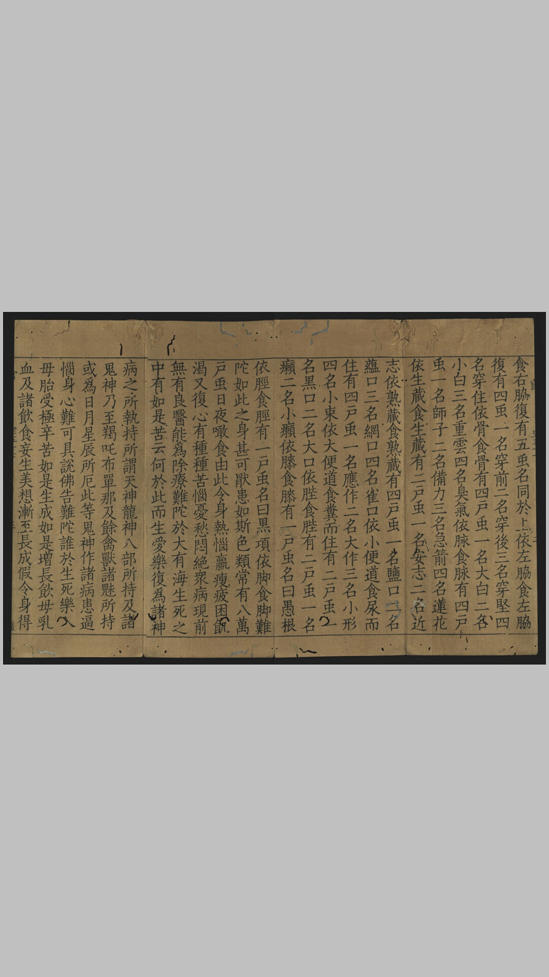 大宝