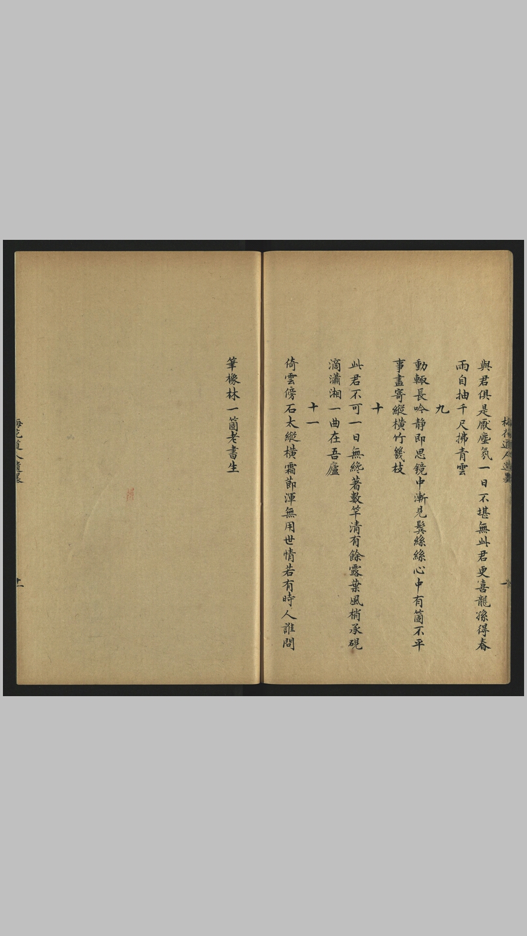 梅花