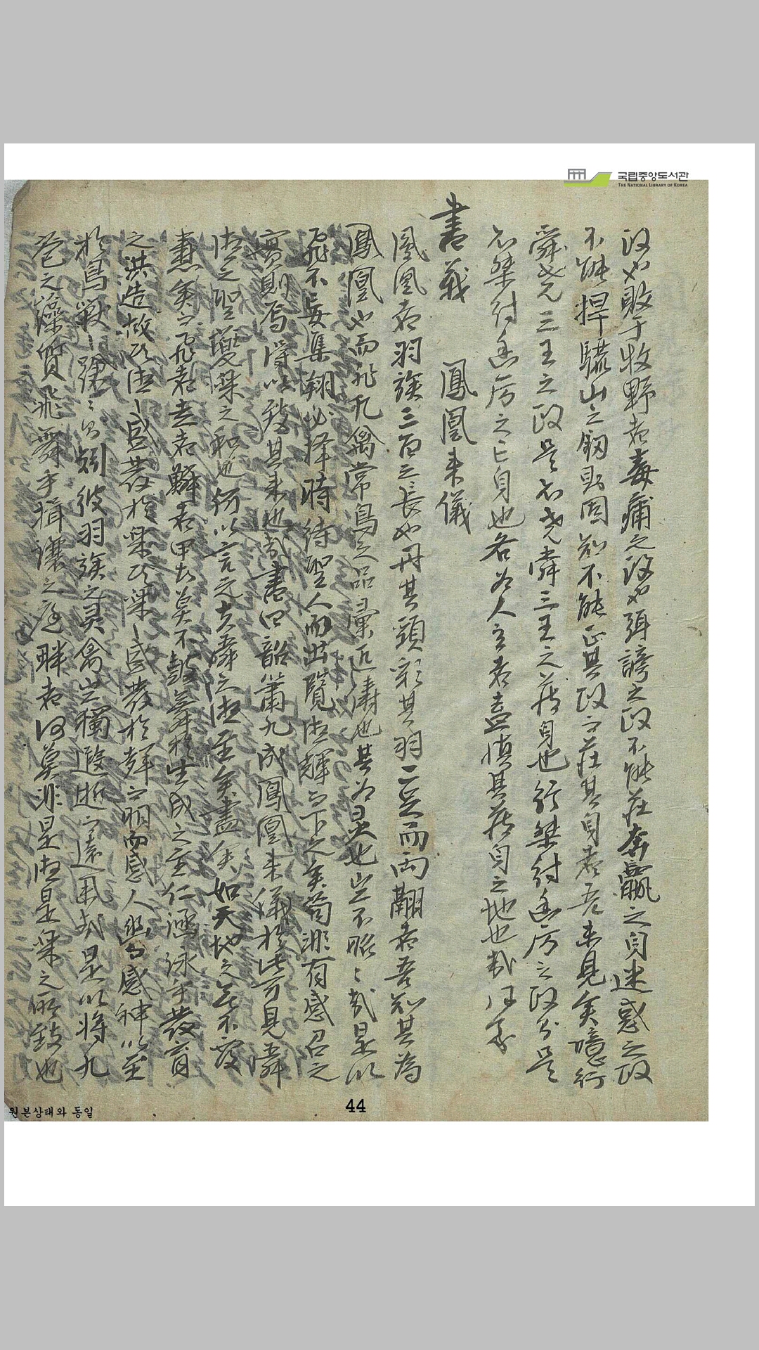 大象